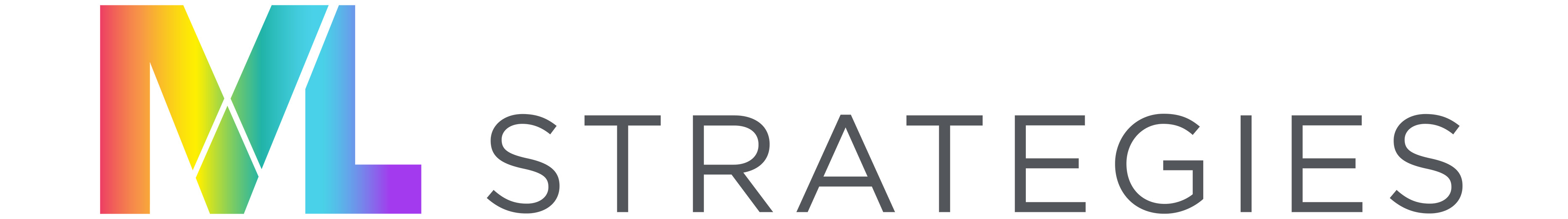 ML Strategies logo